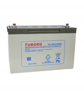 Akumulator RECO AGM 100 Ah