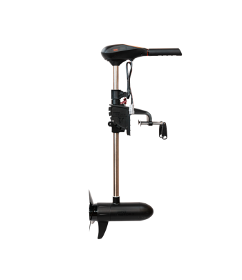 Silnik elektryczny  RHINO VX 55 V2